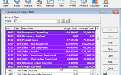 Adagio Ledger: A Budgeting and Forecasting Primer